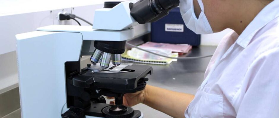 Cost-Effective Strategies for High-Throughput NGS Library Preparation