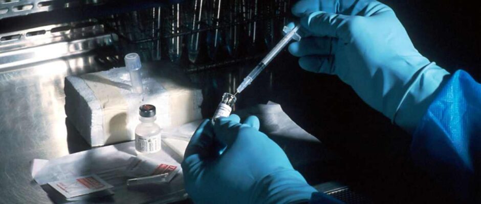 automation and ai are streamlining