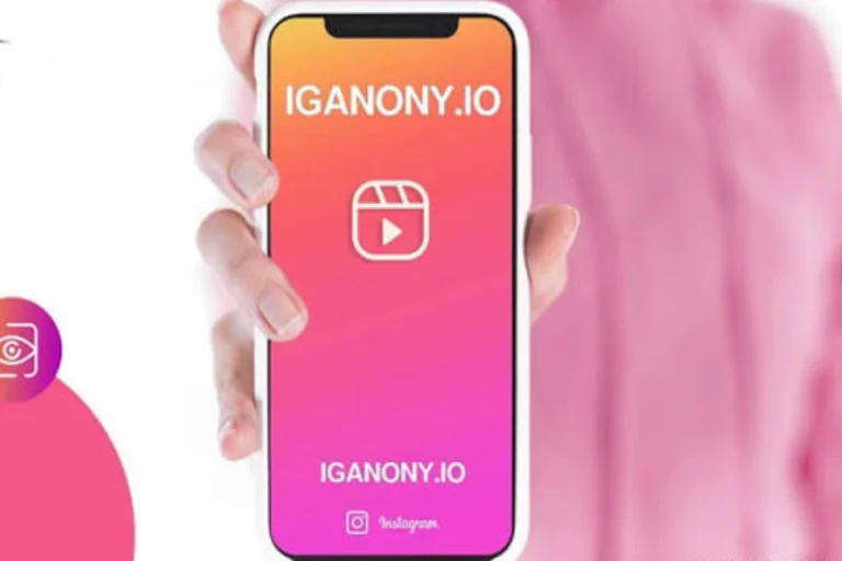 anonyig com private account