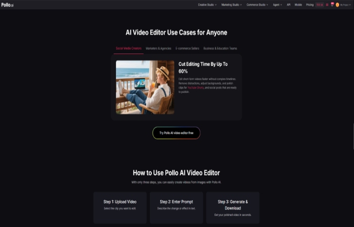before using pollo ai video editor